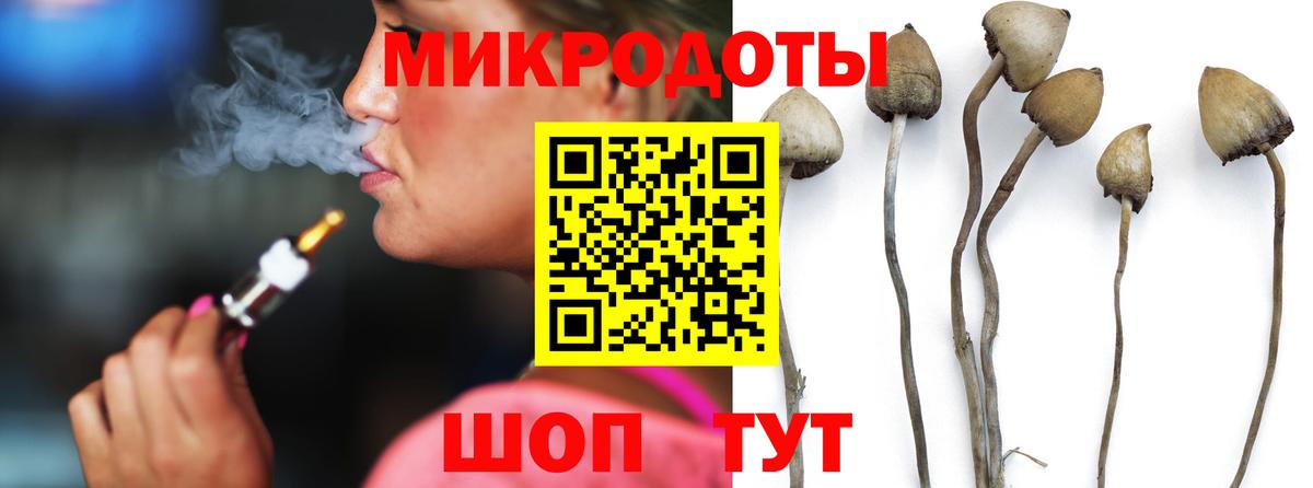 Псилоцибиновые грибы GOLDEN TEACHER  Вход с VPN  Псилоцибиновые грибы Psilocybe  Сухой Лог 